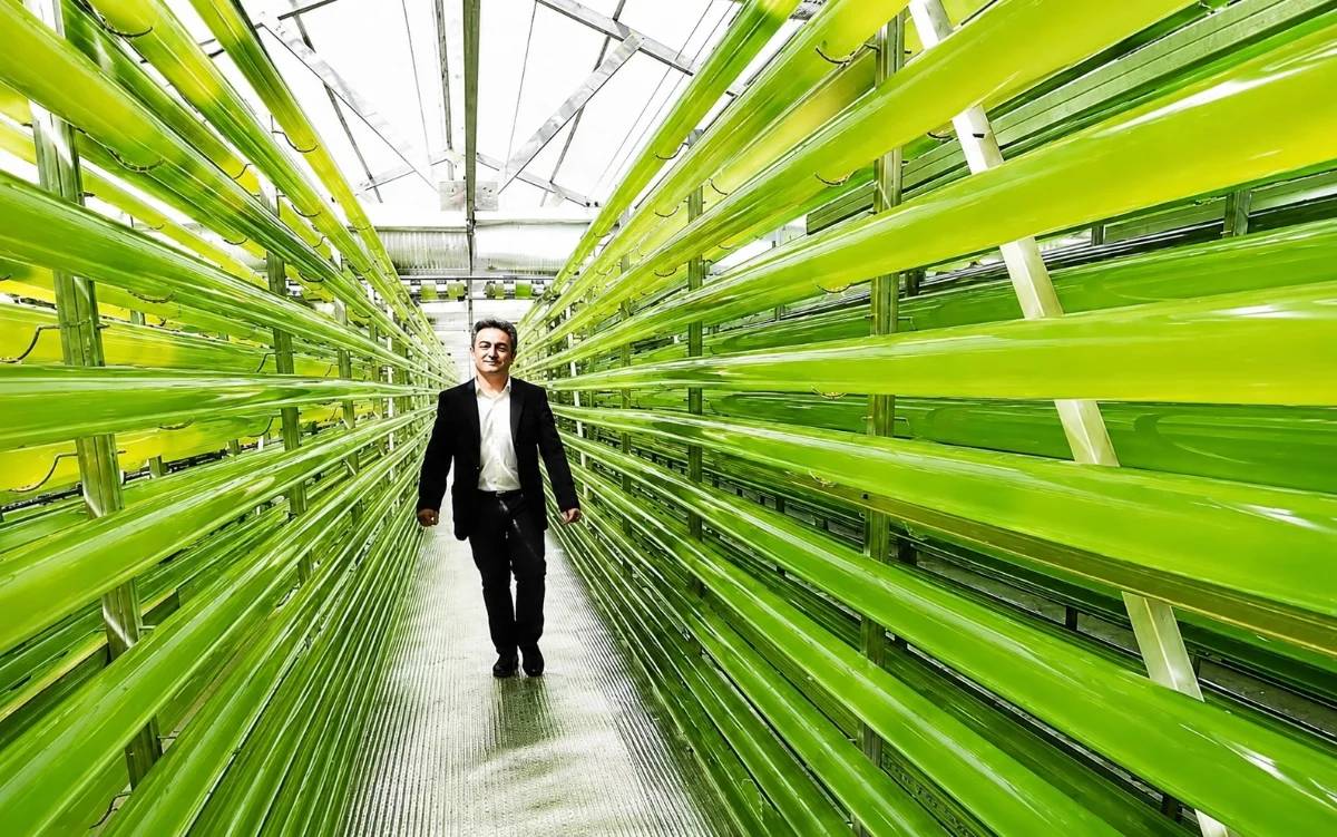 Laboratoire Biorea, Lamballe, Bretagne